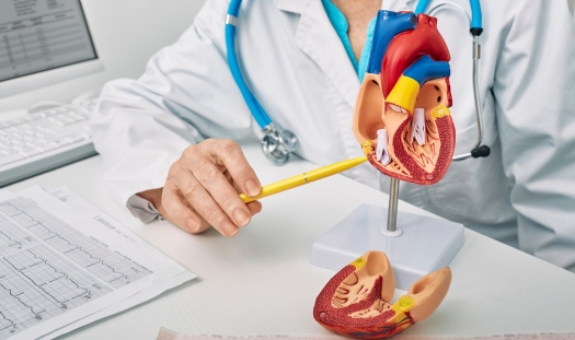 Cardiology